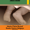 O bebê e as palavras – uma visão transdisciplinar sobre o bebê - Image 2