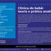 Curso Internacional - Clínica do bebê: teoria e prática analítica (Produto com diferença de valor) - Image 2
