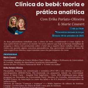 Curso Internacional - Clínica do bebê: teoria e prática analítica